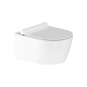 Унитаз подвесной Damixa Jupiter DX77C1700SC с сиденьем микролифт